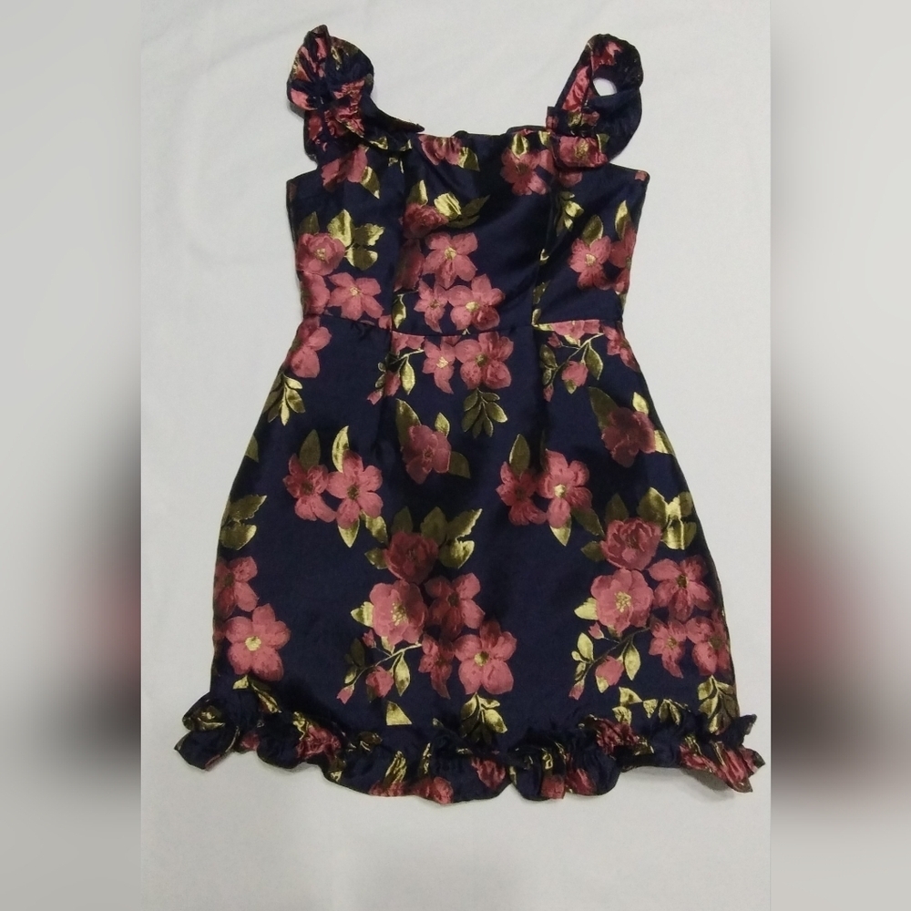 Lulu's Navy and Pink Floral Dress (XS)